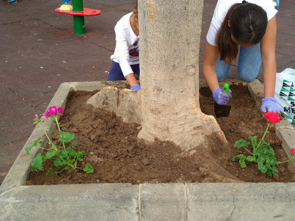 Niñas plantando flores en un parterre