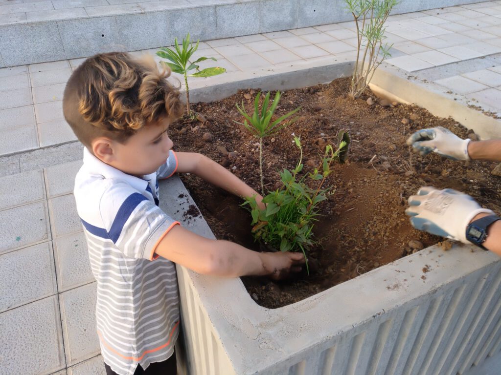 Niño plantando una planta en una maceta grande de hormigón