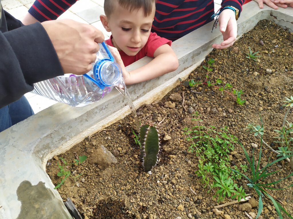 Niño regando un cactus con una garrafa de agua ayudado por personas adultas, de las cuales sólo se ven las manos.